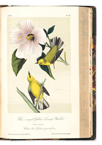AUDUBON, JOHN JAMES. The Birds of America. Vol II [only], second edition.